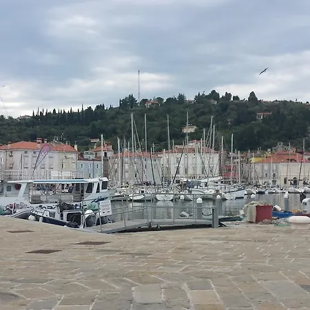 Apartma Tartini Square